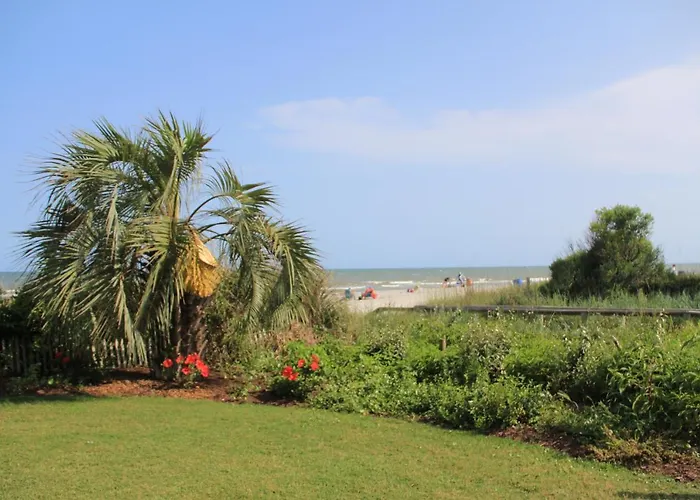 Jade Tree Cove